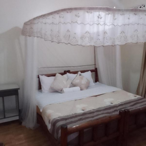 Dream jet suites
